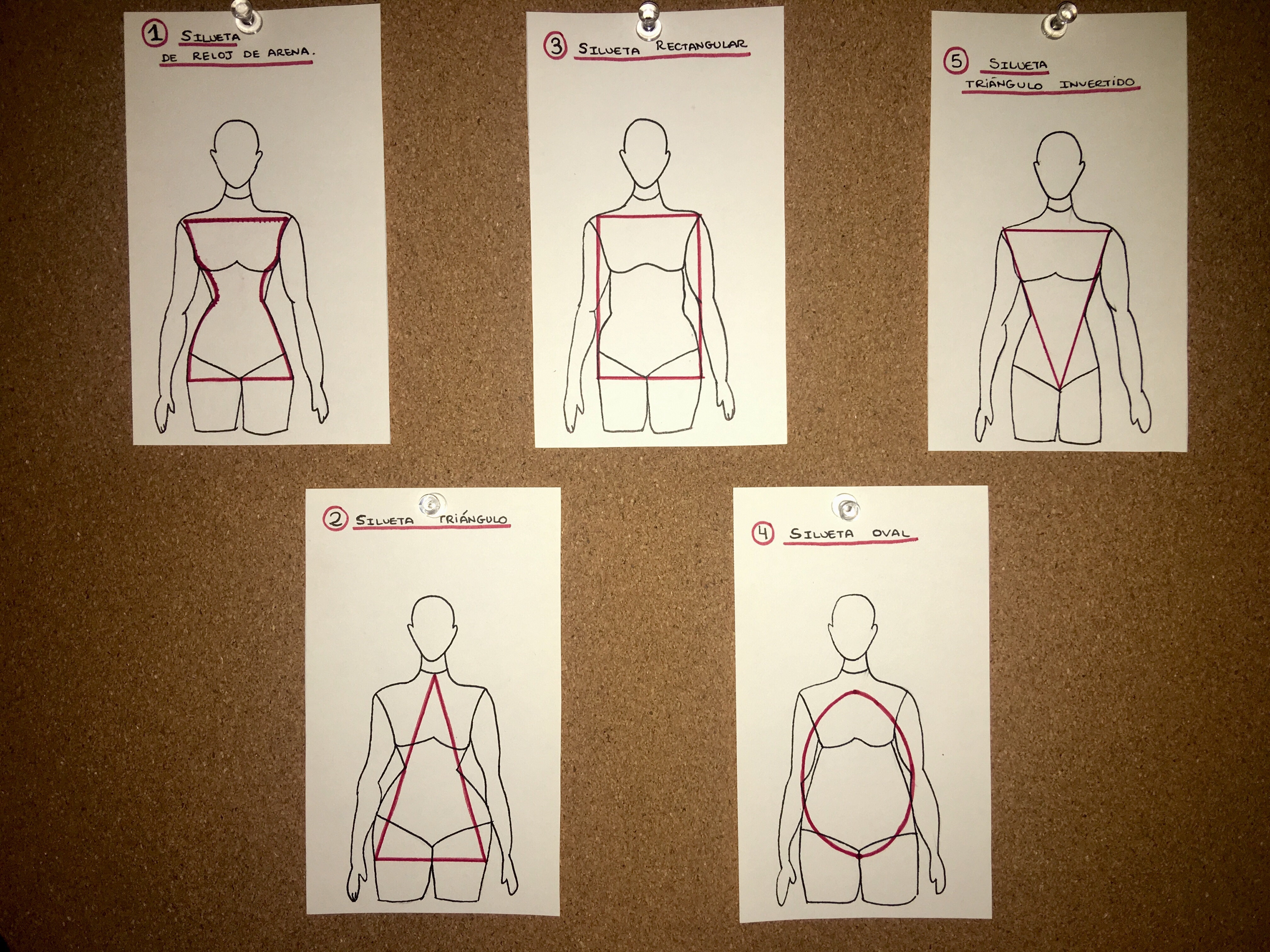 ¿ Que tipo de cuerpo tenemos ?